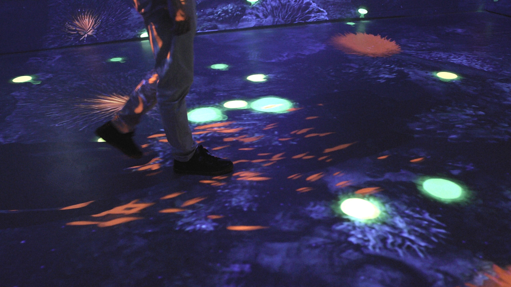 Okyanus Deneyimi Projesi