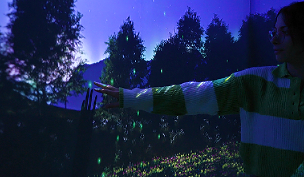 Ormanın Kalbinde Projesi